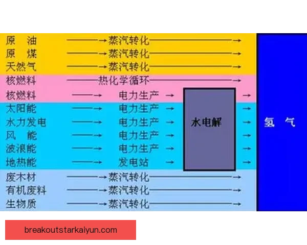 凯塞多职业规划趋势分析，未来发展备受关注